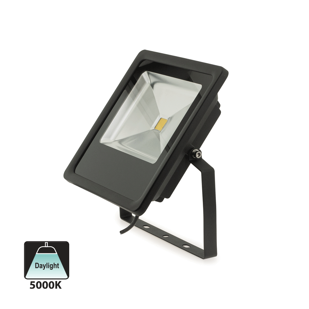 LED Outdoor Flood Light 12VAC DC 50W 5000K Daylight