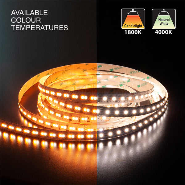 5M(16.4ft) Dim to Warm Hybrid Strip LED Strip 2835, 24V 5.5(w/ft) 196(LEDs/m) CCT(1.8K-4K Adjustable) - ledlightsandparts