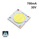 20W LED COB Chip Light 6000K(Cool White)