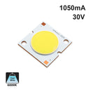 30W LED COB Chip Light 6000K(Cool White)