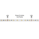 10M(32.8ft) Indoor LED Strip 3528, 24V 1.5(w/ft) 126-144(Lm/ft) 60(LEDs/m) CCT(2.7K, 3K, 6K), lightsandparts