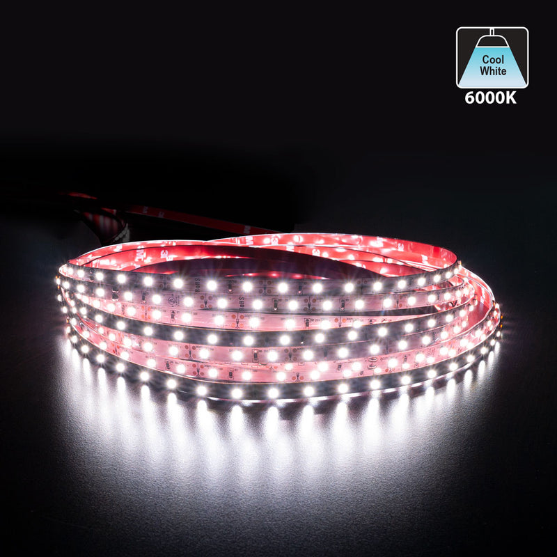 10M(32.8ft) Indoor LED Strip 3528, 12V 1.5(w/ft) 126-144(Lm/ft) 60(LEDs/m) CCT(2.7K, 6K) - ledlightsandparts