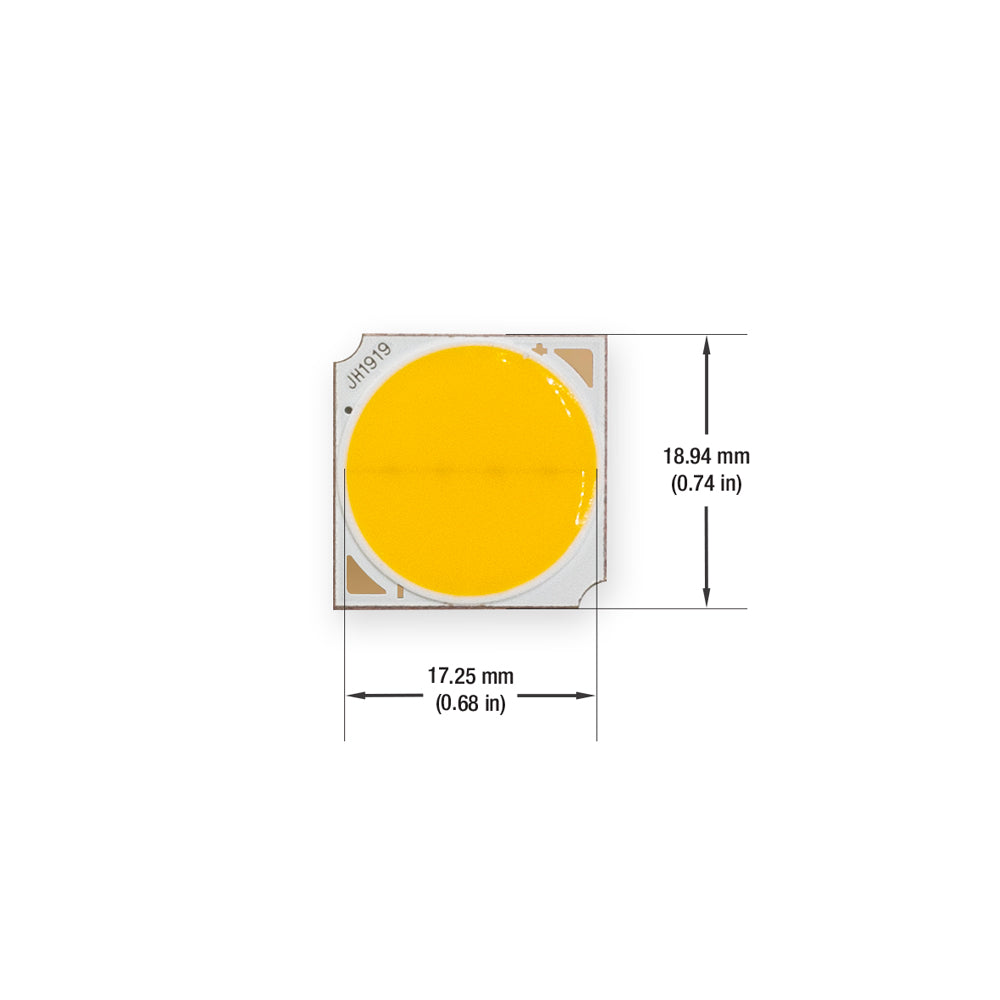 Cv Led Module Constant Voltage COB LED Module 12V 3W 2400K(Sunset White)