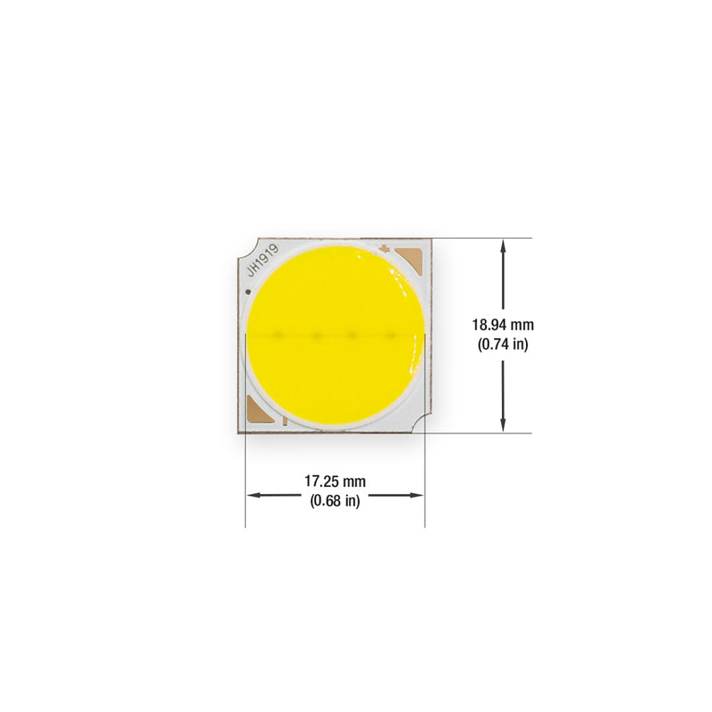 Constant Voltage COB LED Module 12V 3W 5000K(Daylight)