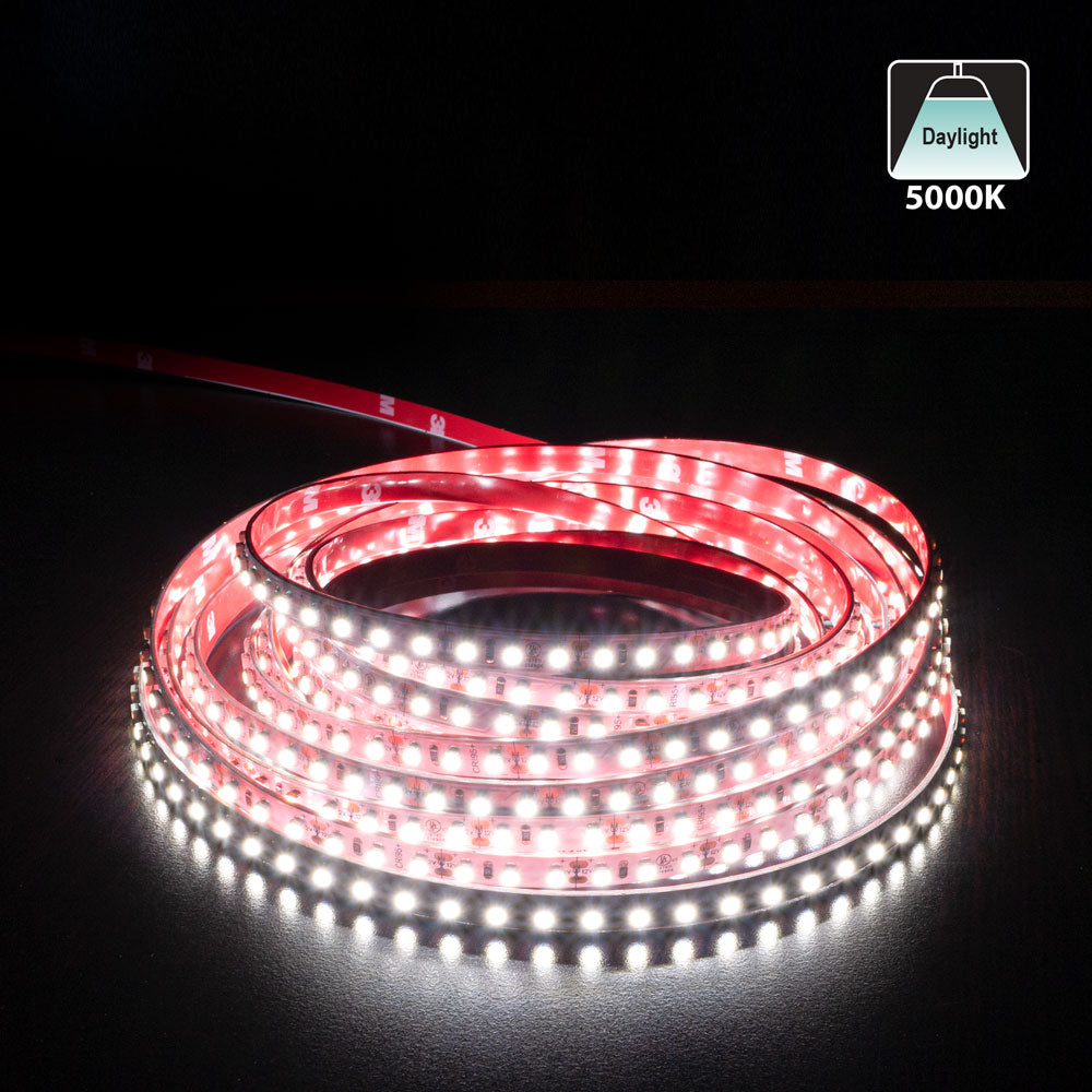 10M(32.8ft) Indoor LED Strip 3528, 12V 3(w/ft) 258-292(Lm/ft) 120(LEDs