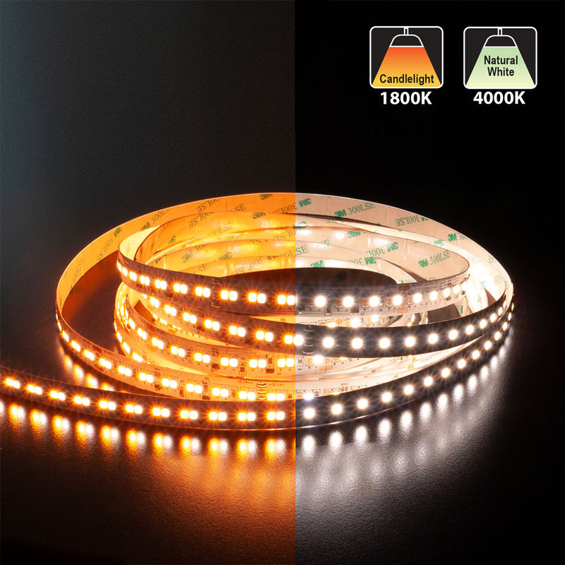 5M(16.4ft) Dim to Warm Hybrid Strip LED Strip 2835, 24V 5.5(w/ft) 196(LEDs/m) CCT(1.8K-4K Adjustable) - ledlightsandparts