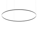 Type 48, Circle hanging Light Fixture Black, 180cm (71in)