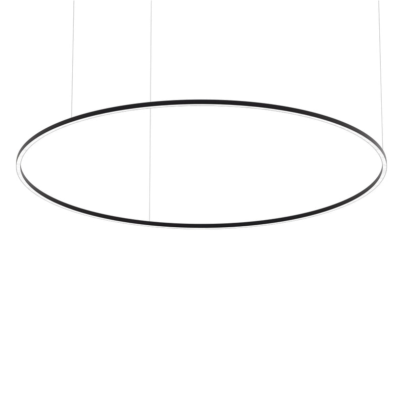 Type 48, Circle hanging Light Fixture Black, 180cm (71in)