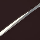 5M(16.4ft) LED Neon light Strip VBD-N0606-3000-SF-W, 3000K(Warm White) Dimmable Silicone Waterproof Casing Side Emitting, lightsandparts