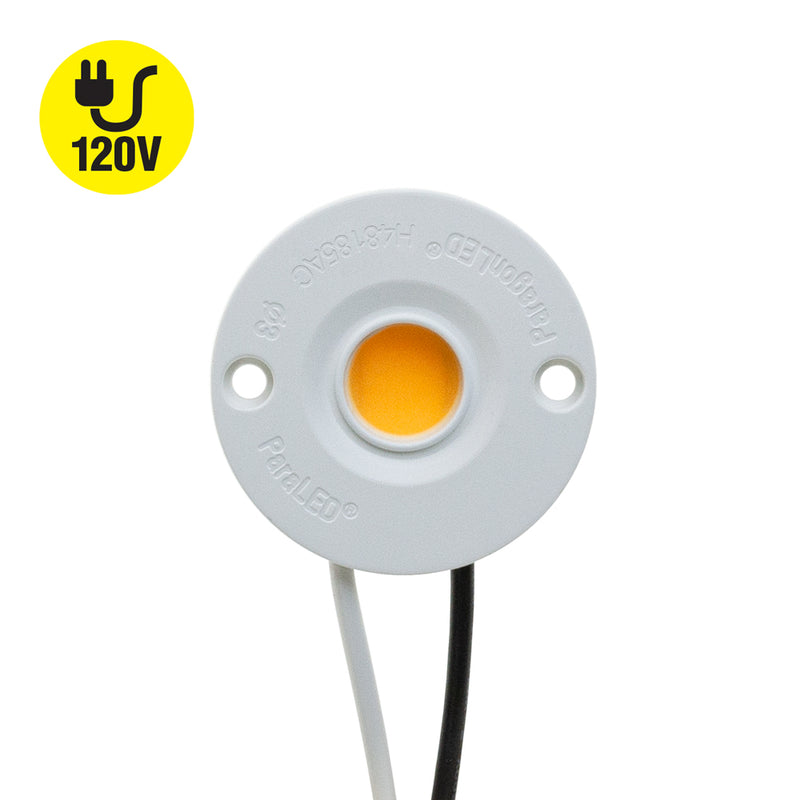 CBAC-042-36185-120V-2700K COB Paragon LED Module with H48185 LED Holder, 120V 11W 2700K(Soft White)