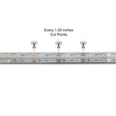 5M(16.4ft) Outdoor LED Strip Light COB, 24V 6.6(w/ft) 896(LEDs/m) RGBW Gold PCB, lightsandparts