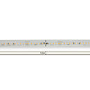 Custom cut Outdoor Hybrid Adjustable Color Temperature LED Strip - 24V 5(w/ft) 1126(Lm/ft)