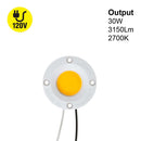 COB Paragon LED Module Light 120V 30W 3150Lm 2700K