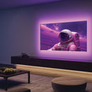 Dals 3M(10ft) Smart Indoor LED Strip DCP-TAP10FT, 24V 9W 700Lm CCT(2.7K+RGB+6.5K)