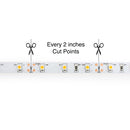 10M(32.8ft) Indoor LED Strip 3528, 12V 1.5(w/ft) 126-144(Lm/ft) 60(LEDs/m) CCT(2.7K, 6K) - ledlightsandparts
