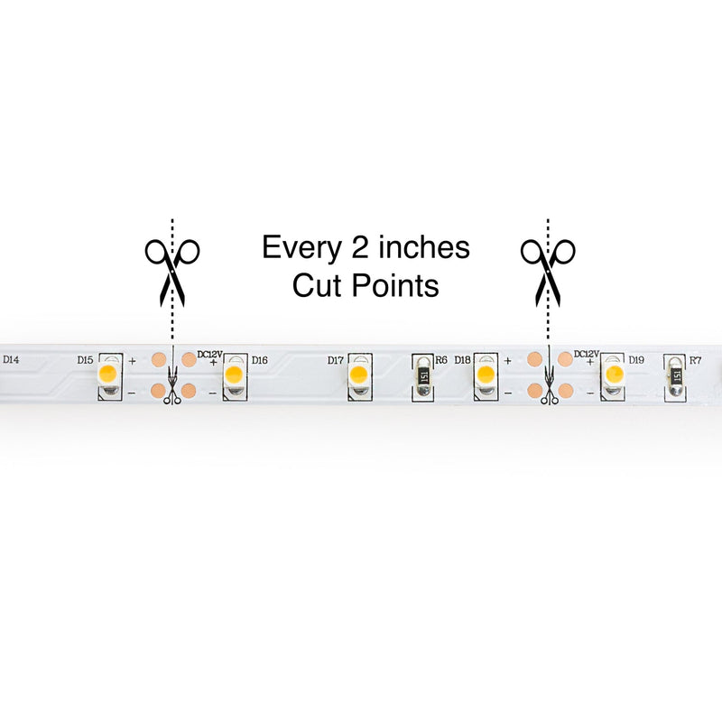 10M(32.8ft) Indoor LED Strip 3528, 12V 1.5(w/ft) 126-144(Lm/ft) 60(LEDs/m) CCT(2.7K, 6K) - ledlightsandparts