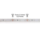 5M(16.4ft) Waterproof LED Strip 3528, 12V 1.5(w/ft) CCT(Blue, Green Red) - ledlightsandparts