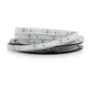 5M(16.4ft) Waterproof LED Strip 3528, 12V 1.5(w/ft) CCT(Blue, Green Red) - ledlightsandparts
