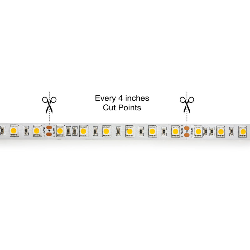 led ribbon, led tape, color temperature Canada, British Columbia, North America. 5M(16.4ft) Indoor LED Strip 5050, 24V 4.5(w/ft) CCT(30K, 40K, 60K)