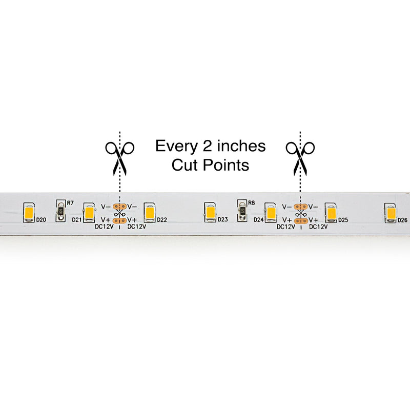 5M(16.4ft) Indoor LED Strip 2835, 12V 2(w/ft) 220-250(Lm/ft) 60(LEDs/m) CCT(3K, 6K) - ledlightsandparts