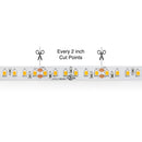 5M(16.4ft) Indoor LED Strip 2835, 24V 4.5(w/ft) 400-420(Lm/ft) 120(LEDs/m) CCT(2.4K, 5K) - ledlightsandparts