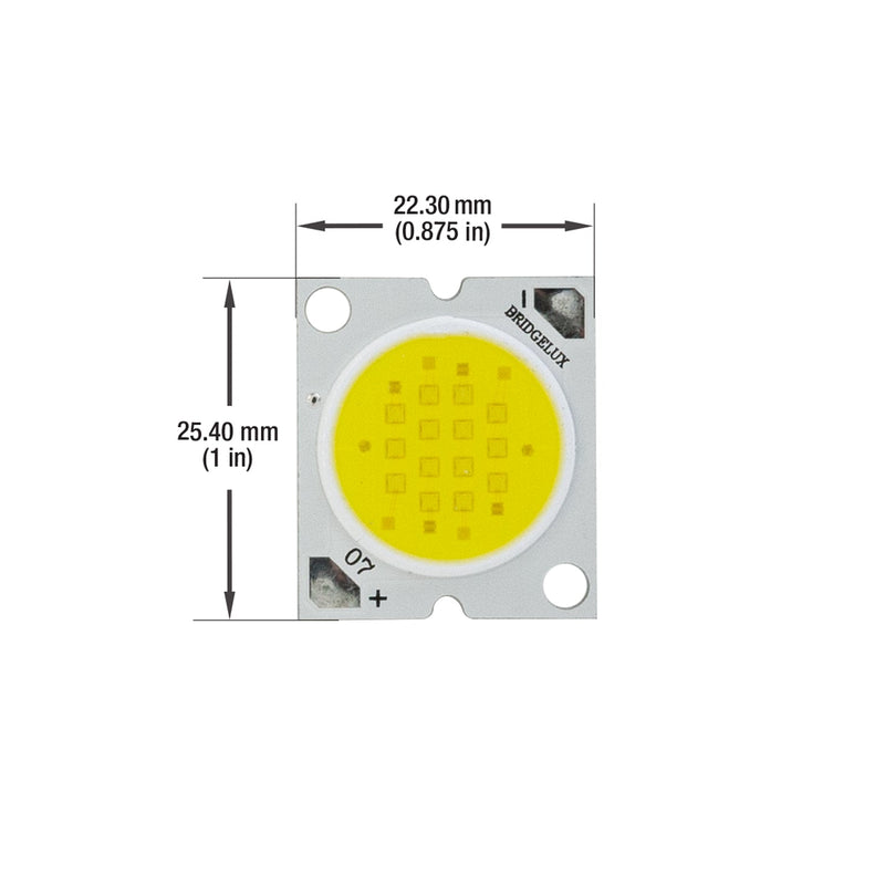 BXRA-56C1100-B Constant Current COB LED Module, 500mA 10W 5600K(Cool White) - ledlightsandparts