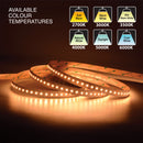 20M(65.6ft) Indoor LED Strip L2835, 24V 3(w/ft) 298(Lm/ft) 120(LEDs/m) CCT(2.7K, 3K, 3.5K, 4K, 5K, 6K) - ledlightsandparts