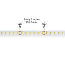 20M(65.6ft) Indoor LED Strip L2835, 24V 3(w/ft) 298(Lm/ft) 120(LEDs/m) CCT(2.7K, 3K, 3.5K, 4K, 5K, 6K) - ledlightsandparts