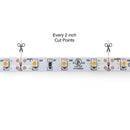 10M(32.8ft) Indoor LED Strip 3528, 12V 1.5(w/ft) 126-144(Lm/ft) 60(LEDs/m) CCT(3K, 3.5K, 4K, 5K) - ledlightsandparts