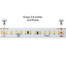 5M(16.4ft) Adjustable color temperature CW&WW LED strip 2835, 24V 5(w/ft) 1018-1120(Lm/ft) 168(LEDs/m) CCT(2.7K-6K Adjustable) - ledlightsandparts