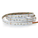 5M(16.4ft) Adjustable color temperature CW&WW LED strip 2835, 24V 5(w/ft) 1018-1120(Lm/ft) 168(LEDs/m) CCT(2.7K-6K Adjustable) - ledlightsandparts