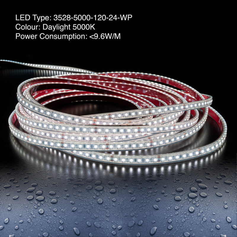 10M(32.8ft) Waterproof LED Strip 3528, 24V 3(w/ft) 256(Lm/ft) 5K(Daylight) - ledlightsandparts